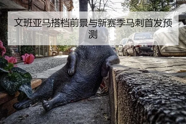 文班亚马搭档前景与新赛季马刺首发预测