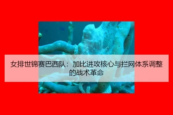 女排世锦赛巴西队：加比进攻核心与拦网体系调整的战术革命