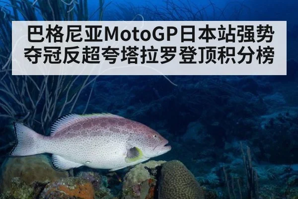 巴格尼亚MotoGP日本站强势夺冠反超夸塔拉罗登顶积分榜